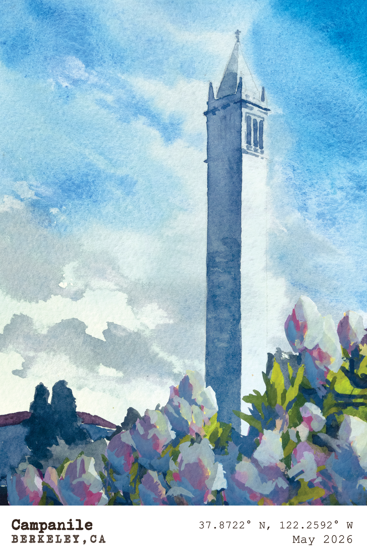 Magnolia Campanile Postcard