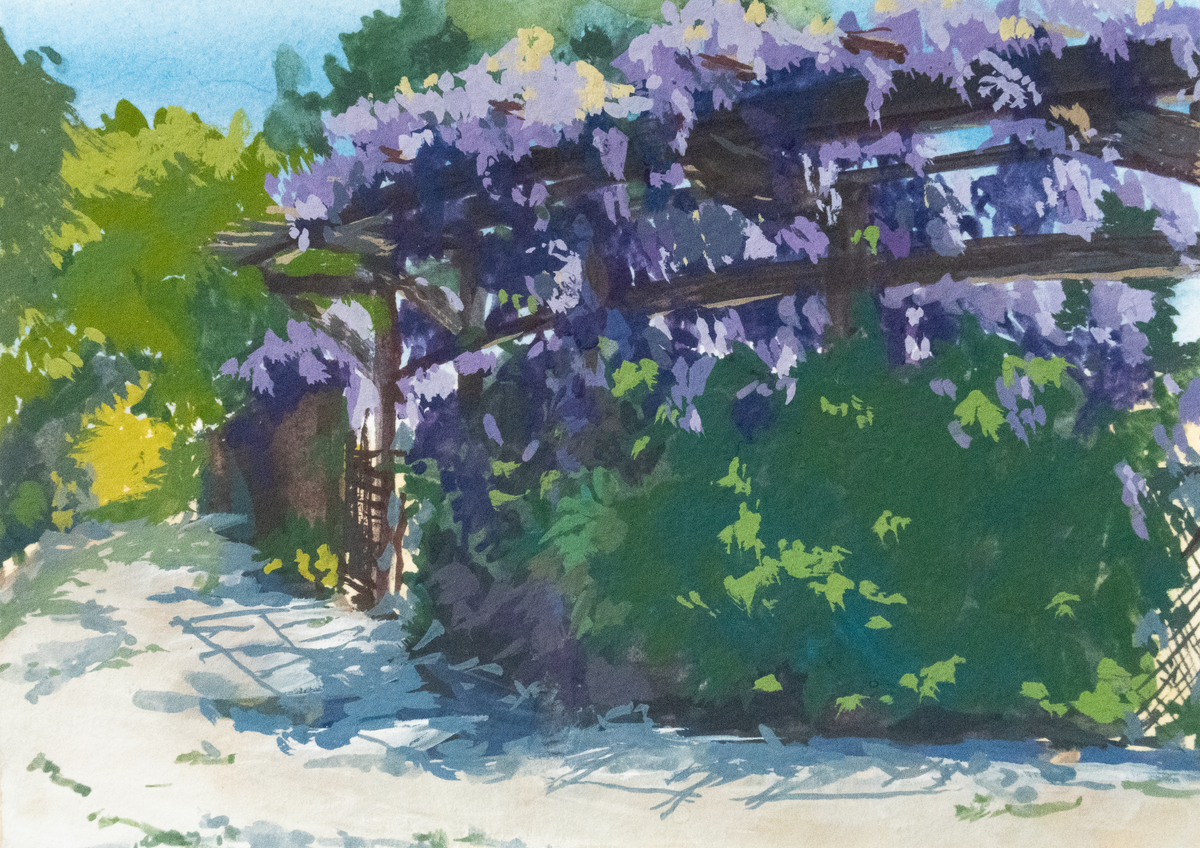 Codornices Park Postcard
