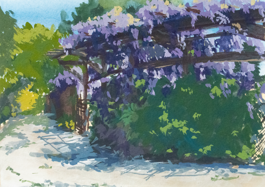 Codornices Park Postcard